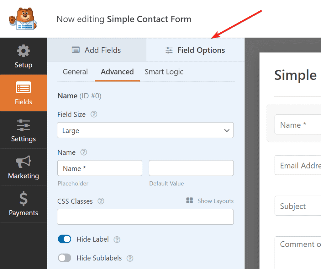 WPForms form builder field options